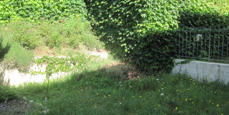 Immagine 001