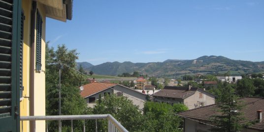 DENTE DI LEONE