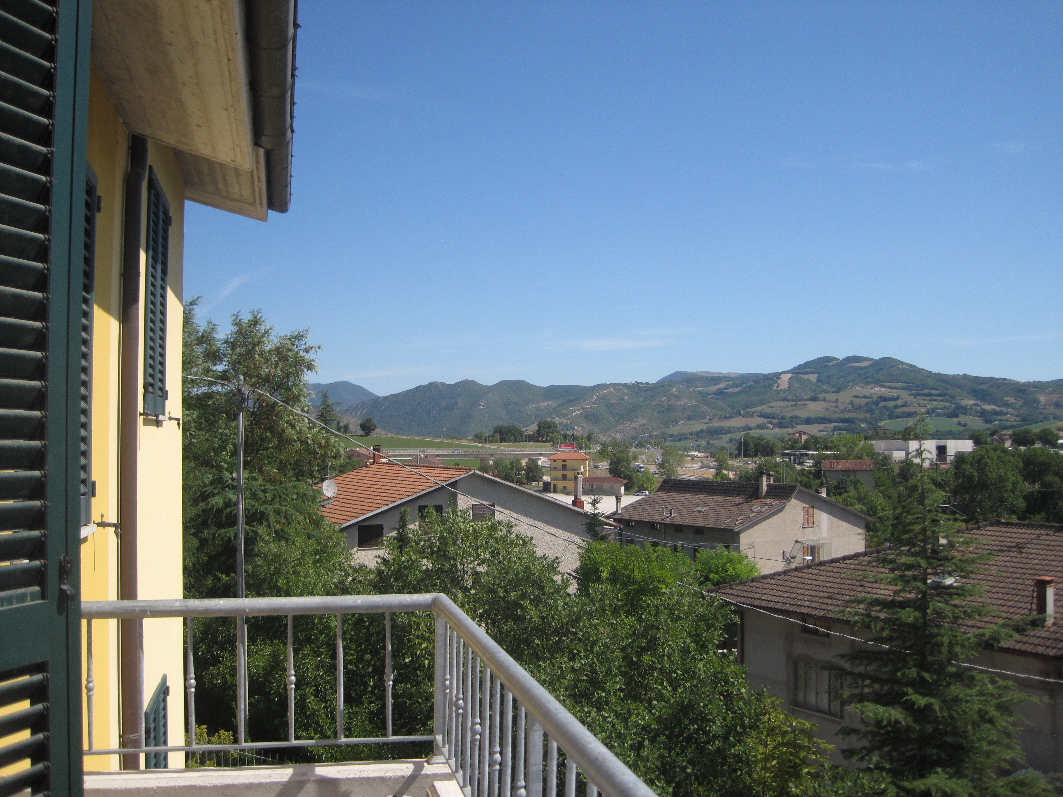 DENTE DI LEONE