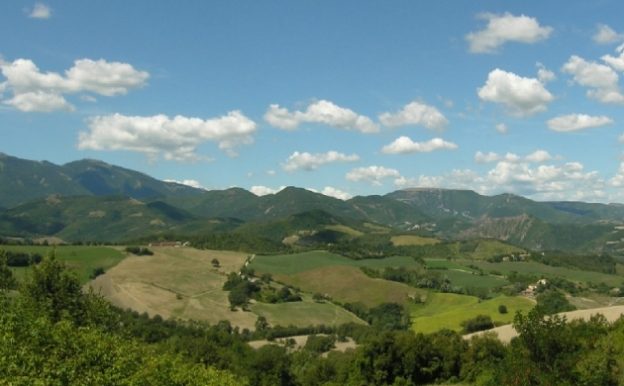 pic10_0