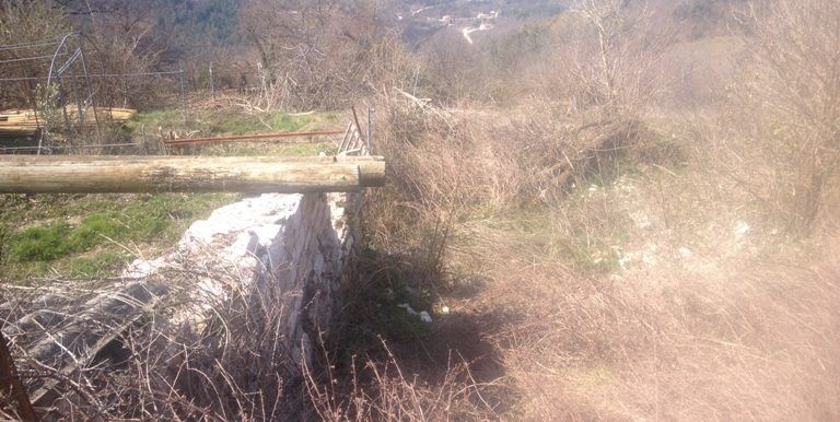 Marzo2015 996
