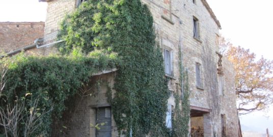 LA COLLINA DEL SAMBUCO