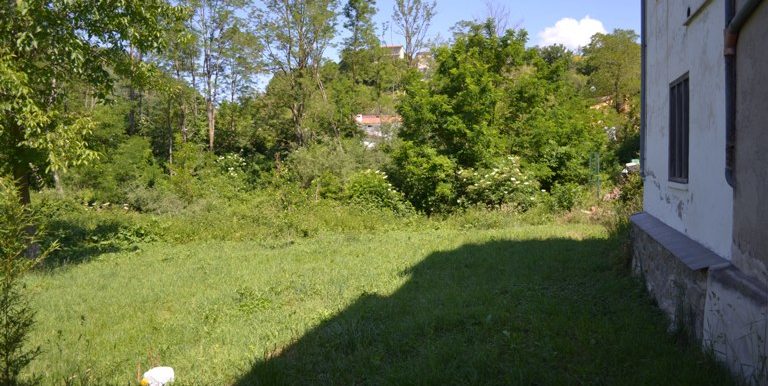DSC_0909