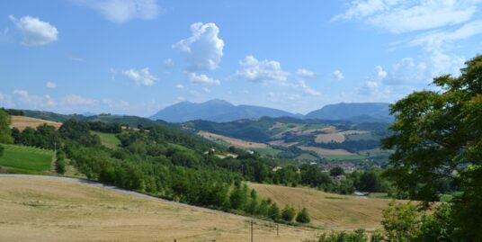 GREEN HILL