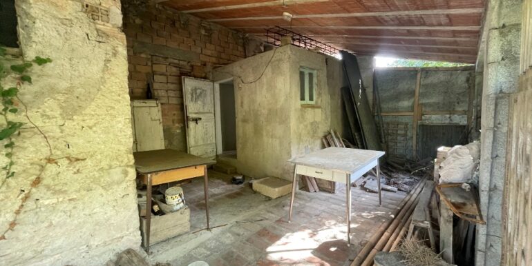IMG_6687