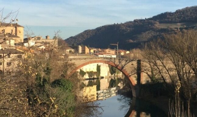 Immagine 2025-05-24 114209